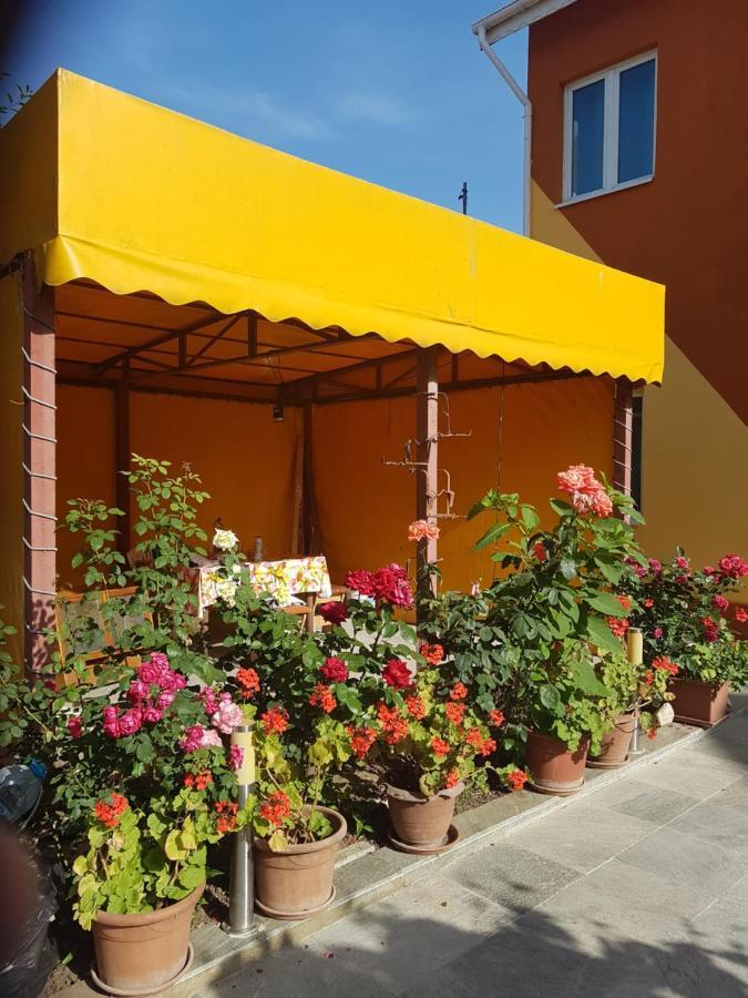 Vila Cozia Hotel Észak-Eforie Kültér fotó